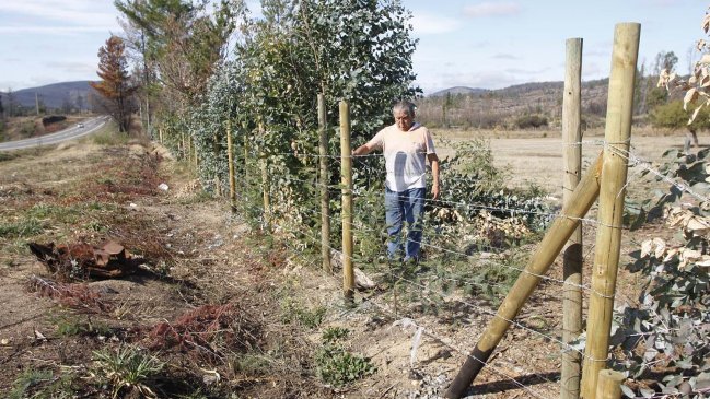 Reponen 207 kilómetros de cercos dañados por incendios forestales en Región del Maule