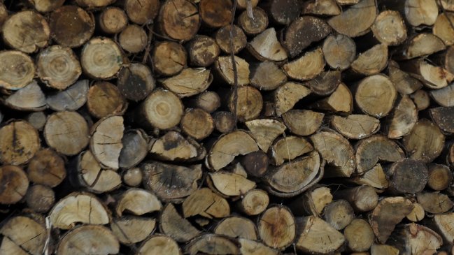 Lanzan fondo para vendedores de leña seca en ocho regiones del país