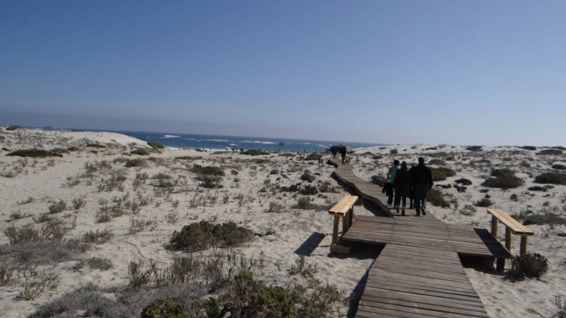 Huasco: Cerrarán hasta junio camping del Parque Nacional Llanos de Challe