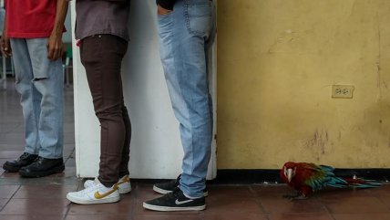   Las postales que deja la baja participación en las elecciones en Venezuela 