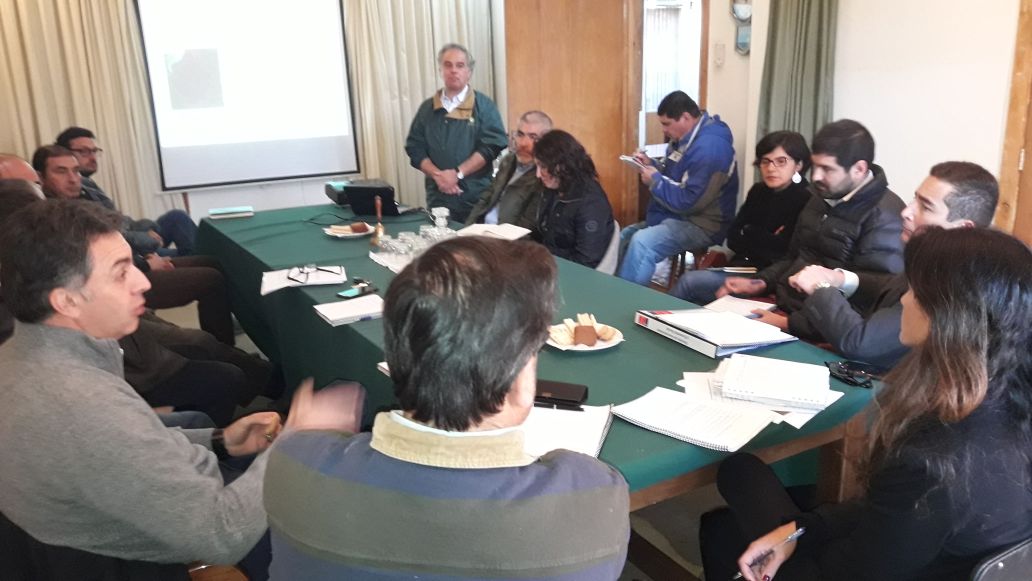 Crean mesa de trabajo en el Maule para reactivar pymes forestales