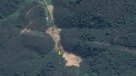 Conaf constató tala de bosque exótico en cantera de Coronel