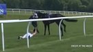 Reportera utilizó su propio cuerpo para detener a un caballo suelto