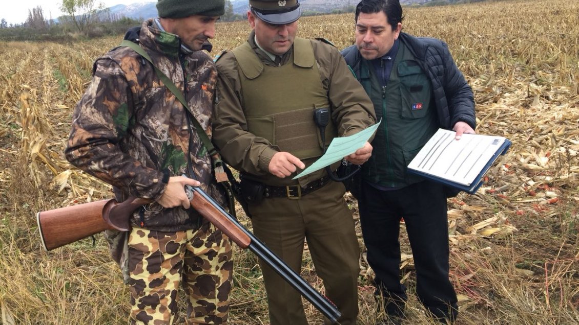 Pencahue: Carabineros realiza operativo de fiscalización a Ley de Caza