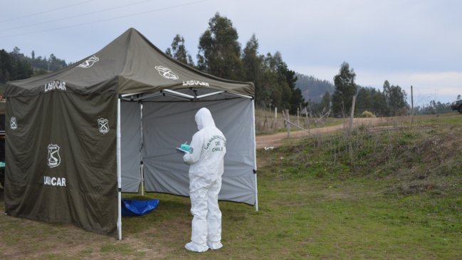 Carabineros investiga hallazgo de cadáver de adulto mayor en Constitución