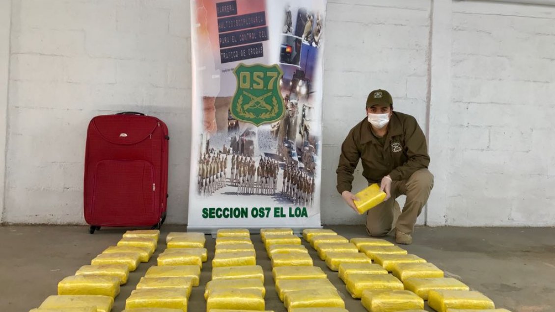 Incautan 59 kilos de marihuana detectados por perro del OS7 en Calama