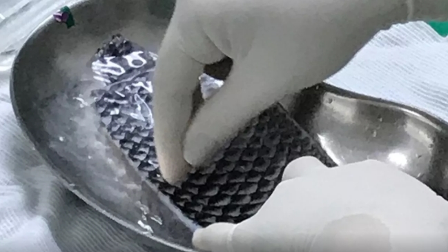 Imagen foto_00000001