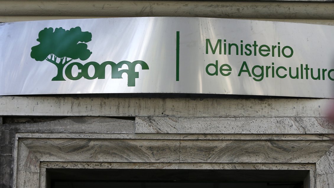 Contraloría confirmó irregularidades en compras y la gestión de Conaf