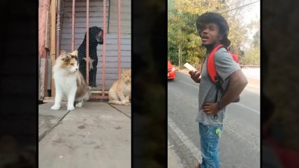 Mujeres le explican a hombre que no se puede comer un gato