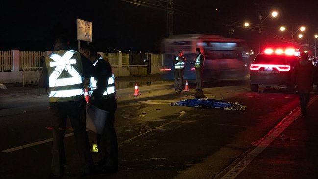 Región de Los Lagos: Atropellos mortales han aumentado un 23% en lo que va del año