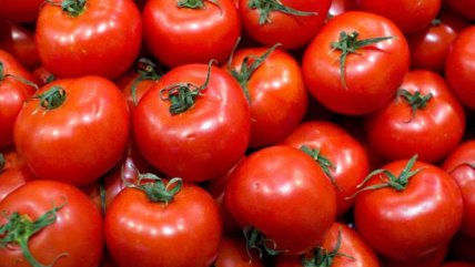   La Historia es Nuestra: Tomate, fruta (¿o verdura?) revolucionaria 