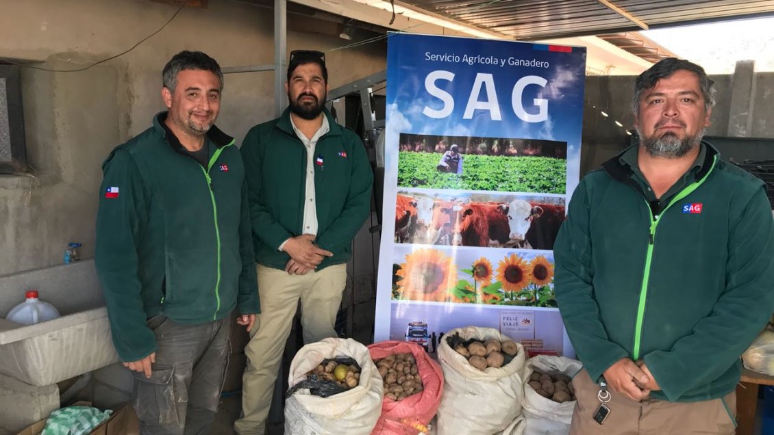 Arica: Confiscan 250 kilos de hortalizas de alto riesgo provenientes de Bolivia