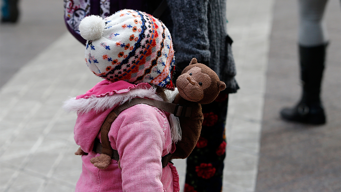 Proyecto de adopciones incluye 