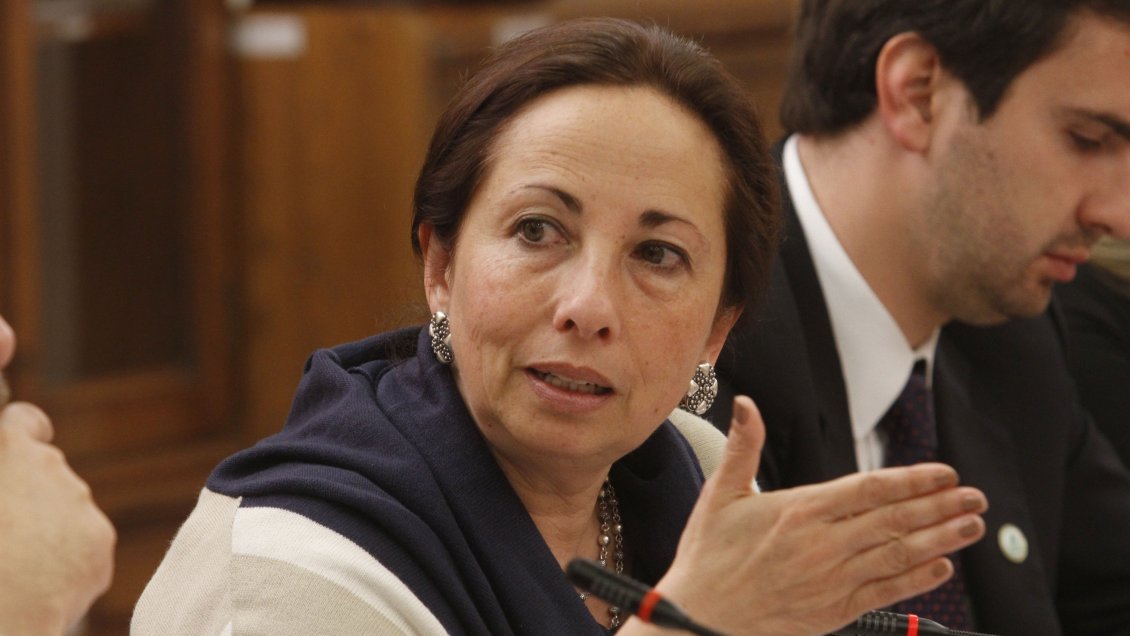 Diputada Sepúlveda sostuvo que Eduardo Bitrán 