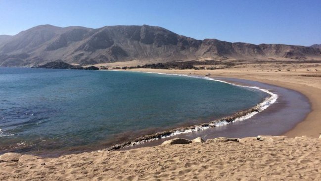 Conaf y alcalde de Chañaral rechazan que carretera pase por Parque Nacional