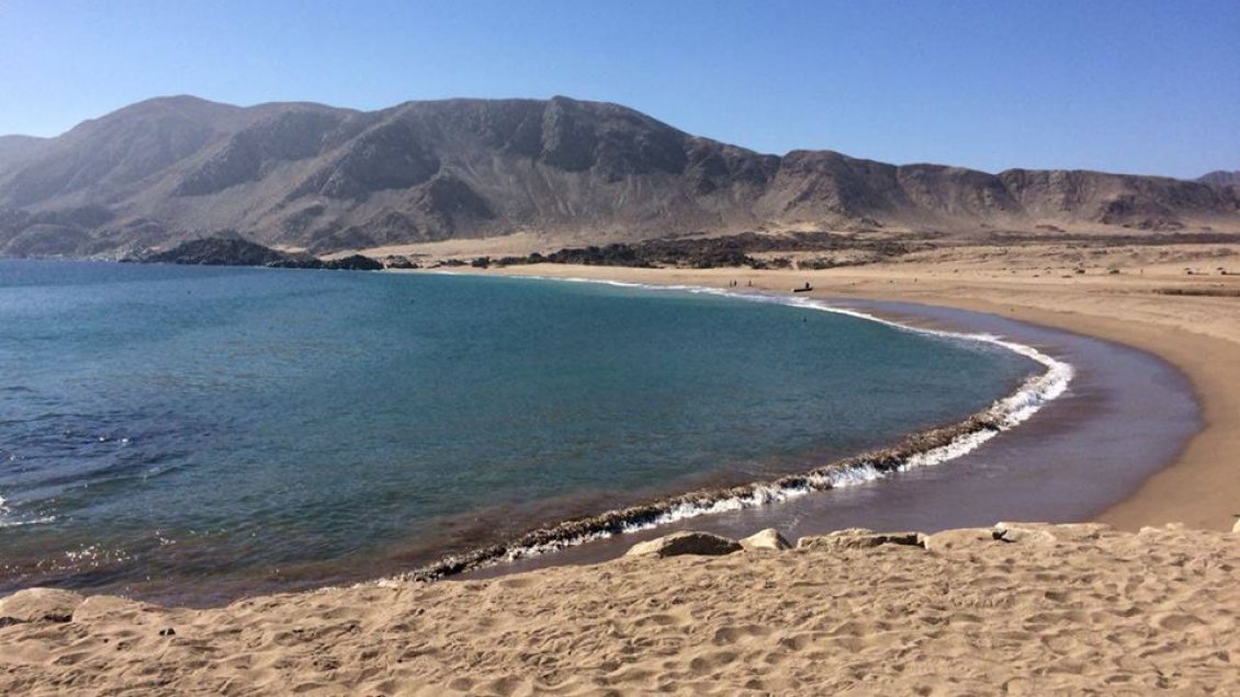 Conaf y alcalde de Chañaral rechazan que carretera pase por Parque Nacional
