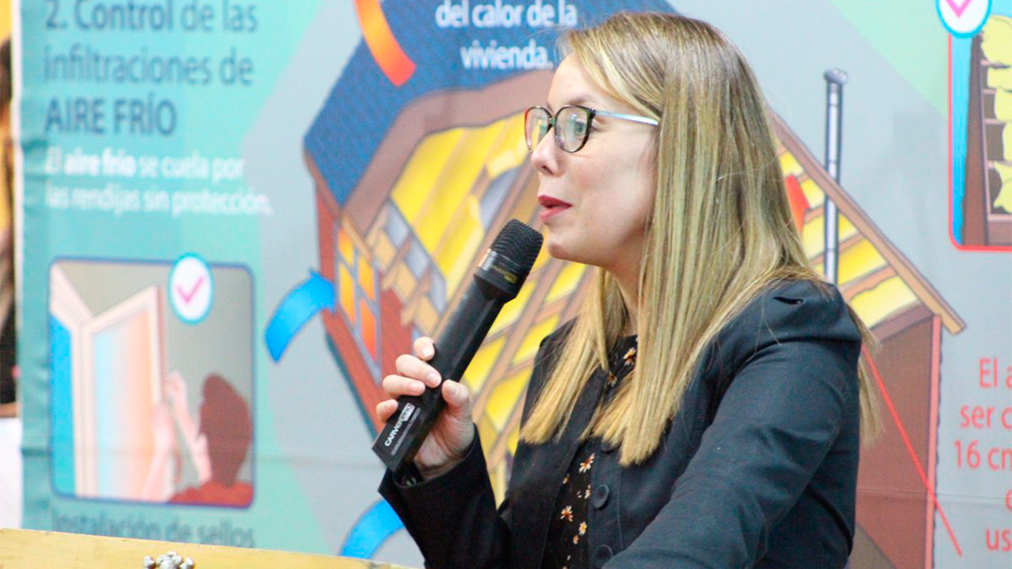 Seremi de Medio Ambiente de Aysén fue formalizada por hurto simple