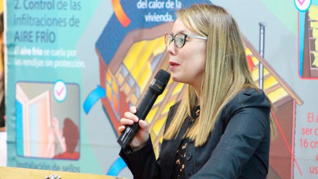 Seremi de Medio Ambiente de Aysén fue formalizada por hurto simple