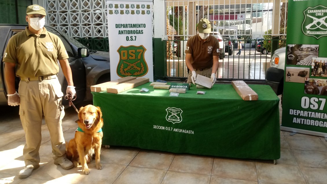 Perro policial se lució en la detección de 46 kilos de droga en controles carreteros