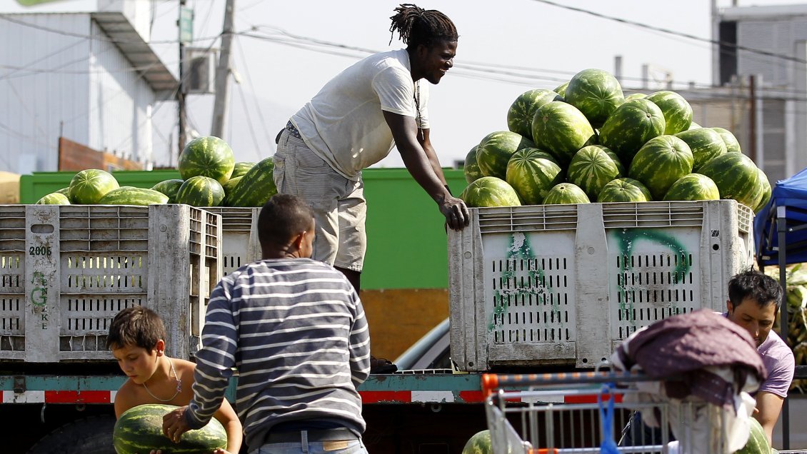 Gobierno pidió perdón a más de 200 mil niños que trabajan en Chile