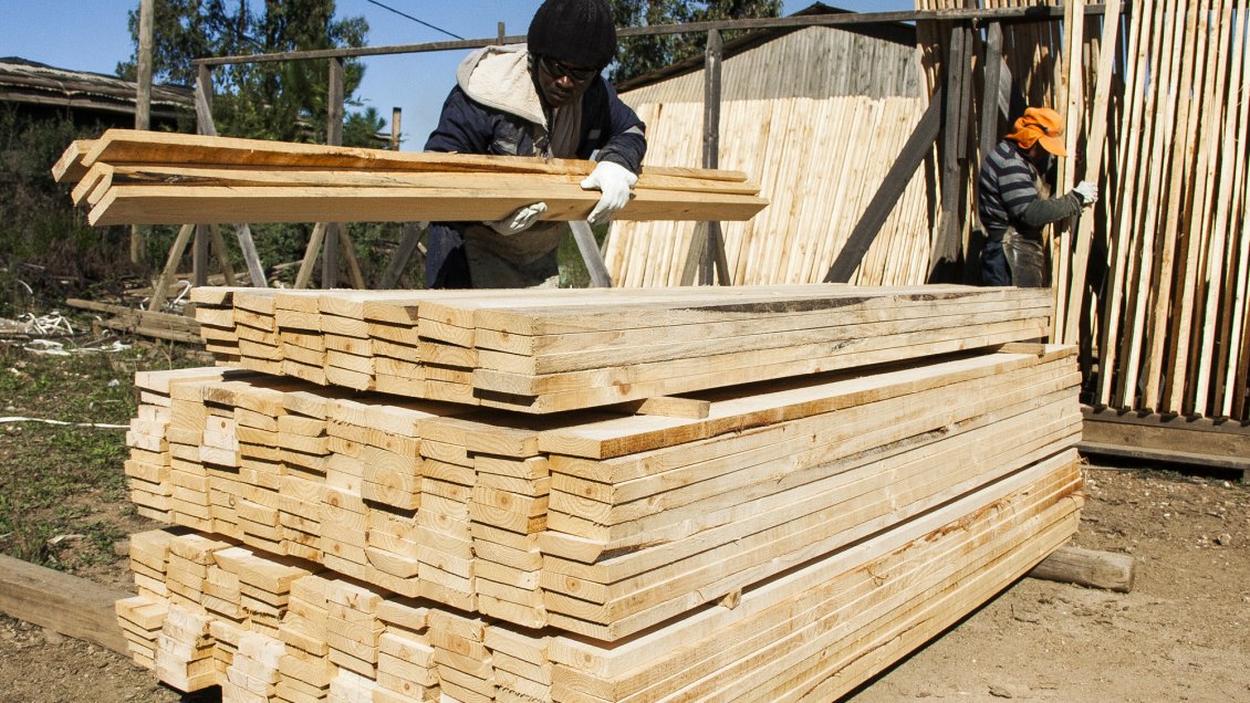 Industria maderera “morirá luego” Preocupación en El Maule tras los