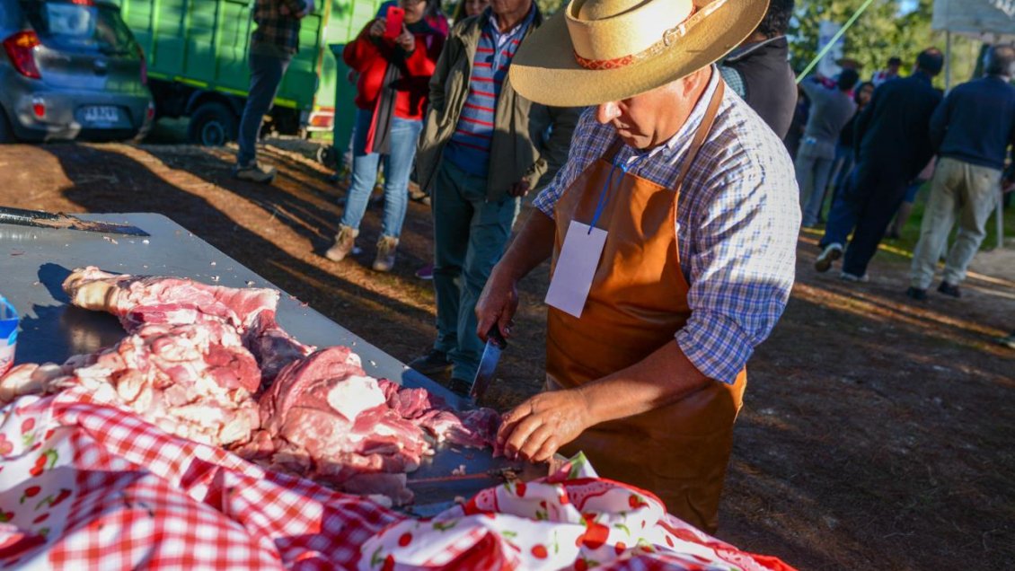 Segunda versión de la “Fiesta del Chancho” recibió a cientos de visitantes en Ñuble