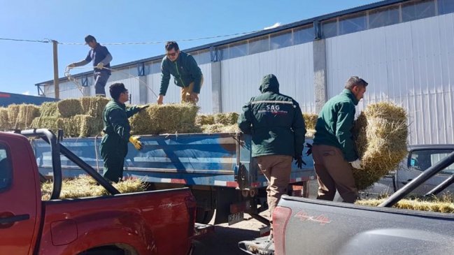 Despliegan ayuda en gran parte de Parinacota tras declarar Zona de Emergencia Agrícola