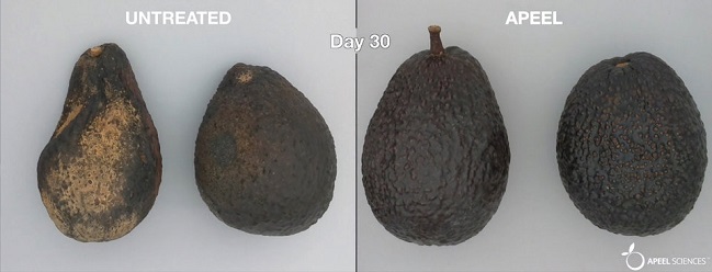 Imagen foto_00000001