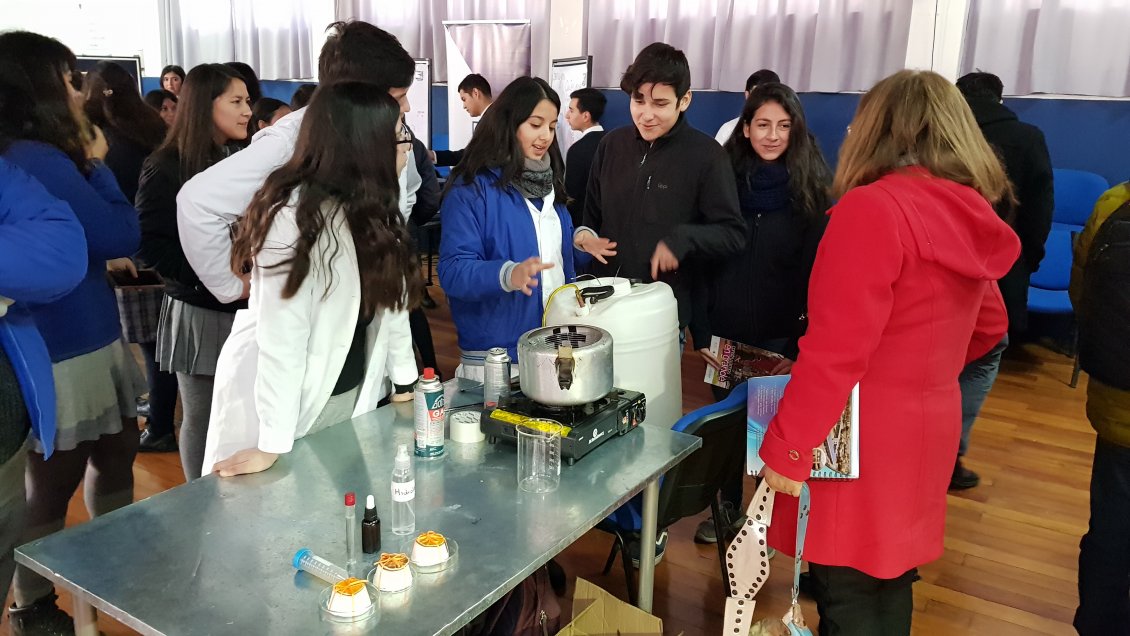 O'Higgins: Lanzan programa Desarrollando Talentos Científicos para estudiantes de la zona