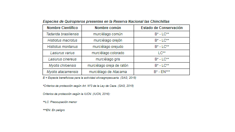 Imagen foto_00000001