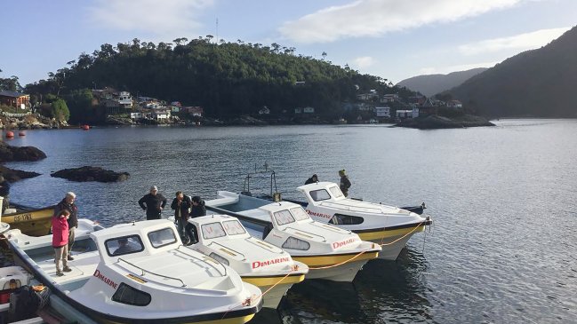 Aysén: Autorizan nuevos sectores para extracción de mariscos en el litoral tras marea roja