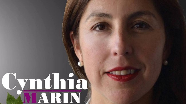 Ex concejala de Limache condenada a cárcel por fraude recurrirá a la Corte Suprema