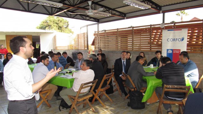 Arica y Parinacota: Inician diagnóstico del ecosistema de emprendimiento regional