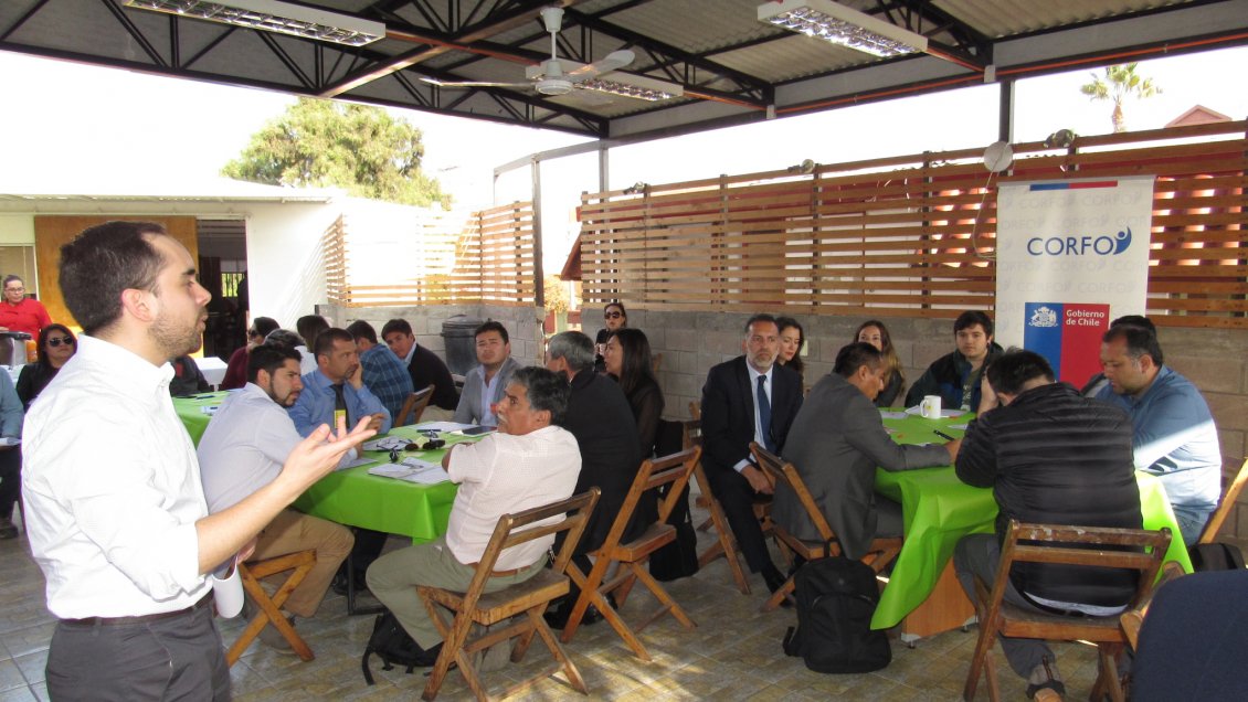 Arica y Parinacota: Inician diagnóstico del ecosistema de emprendimiento regional