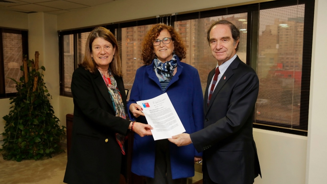 Gobierno pidió al CDE involucrarse en investigación por presuntas irregularidades en Sename