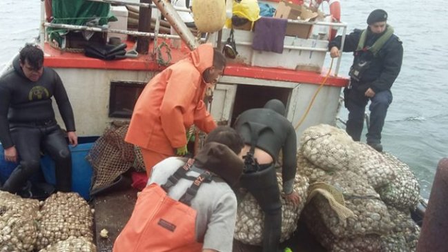 Aysén: Decomisan más de una tonelada de mariscos extraídos en zona restringida