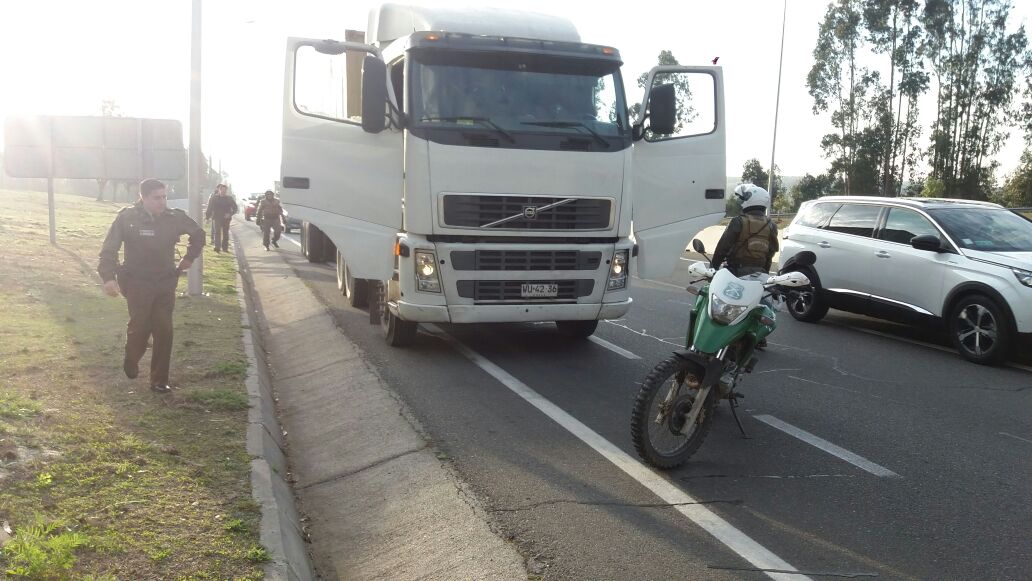 Carabineros logró recuperar camión robado con 160 millones de pesos en nueces