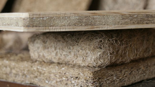 Empresa chilena creó material de construcción sustentable a partir de raíces