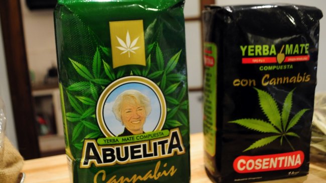 Mate con cannabis comenzará a venderse la próxima semana