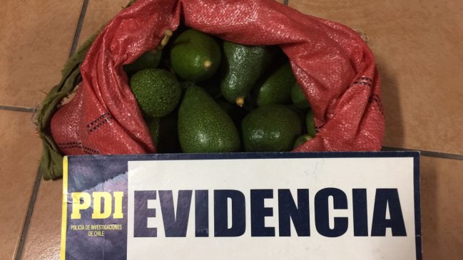 Sujeto con arresto domiciliario total fue sorprendido robando 12 kilos de paltas