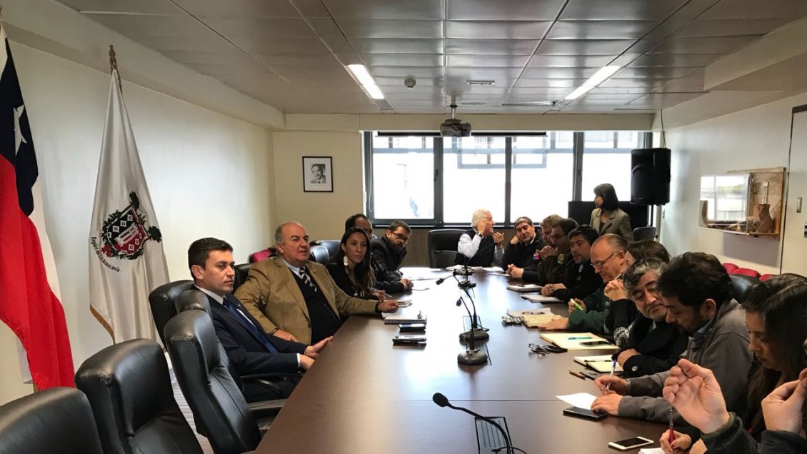 Gobierno analiza medidas preventivas por puente colapsado en Temuco