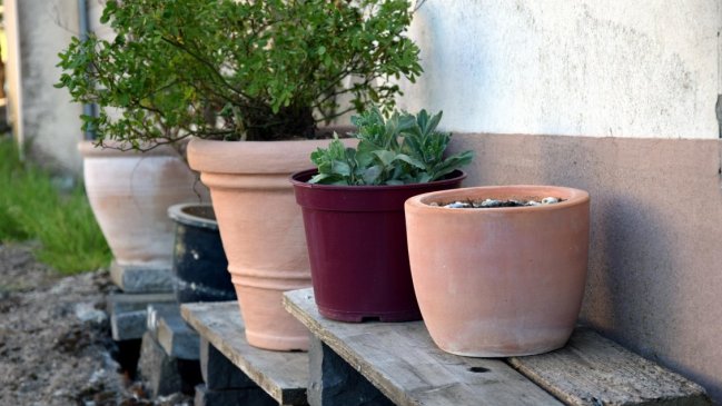 Policía canadiense reinició búsqueda de víctimas del 