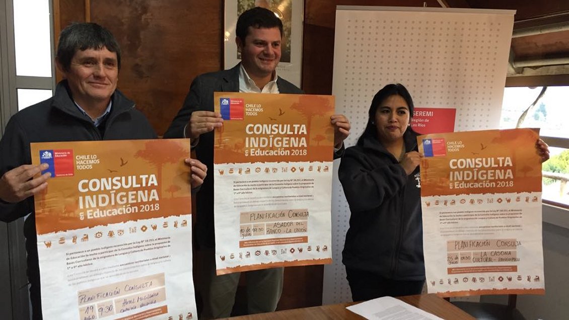 Consulta ciudadana servirá para diseñar bases curriculares de ramo de lenguas originarias