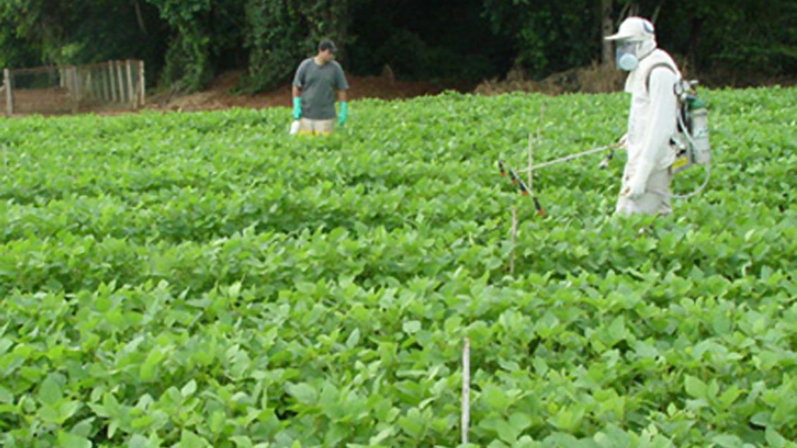 Maule: Alerta despertó hallazgo de peligroso plaguicida en orina de escolares
