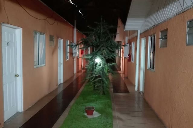 Familia de comerciante de Tomé fallecido en hotel de Angol se querelló contra el dueño del recinto