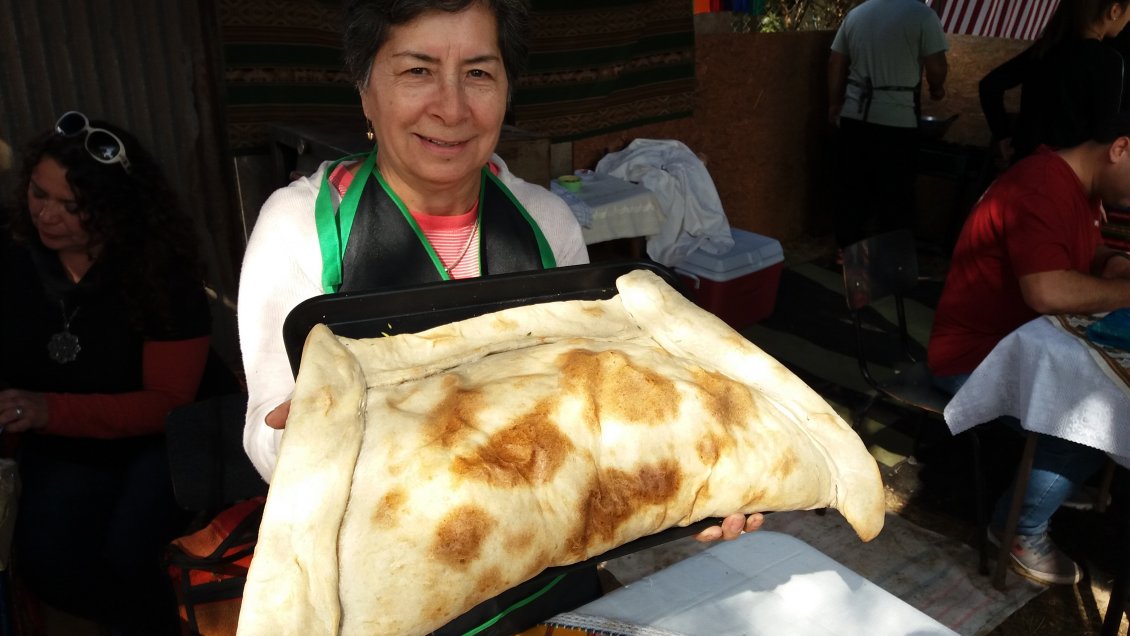 Arica: Adultos mayores se reunieron en fiesta campestre del valle de Lluta