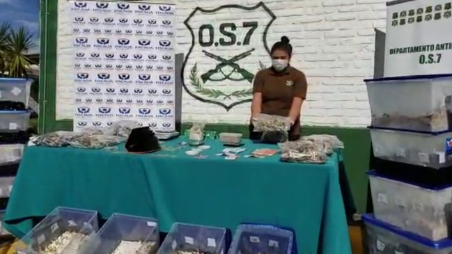 Imagen foto_00000003