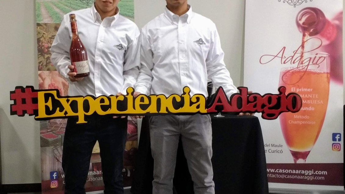 Maule: Extienden plazo de postulación para proyectos de 