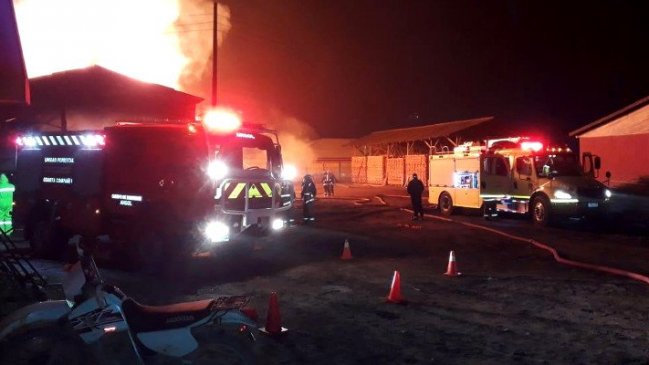 Angol: Millonarias pérdidas deja incendio en barraca de secado