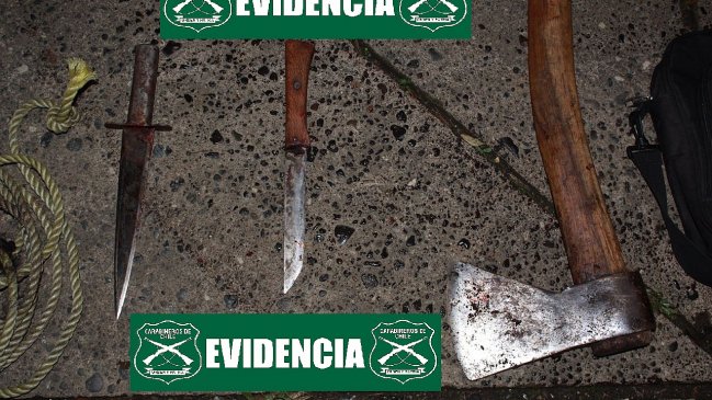 Carabineros detuvo a banda dedicada al robo de animales